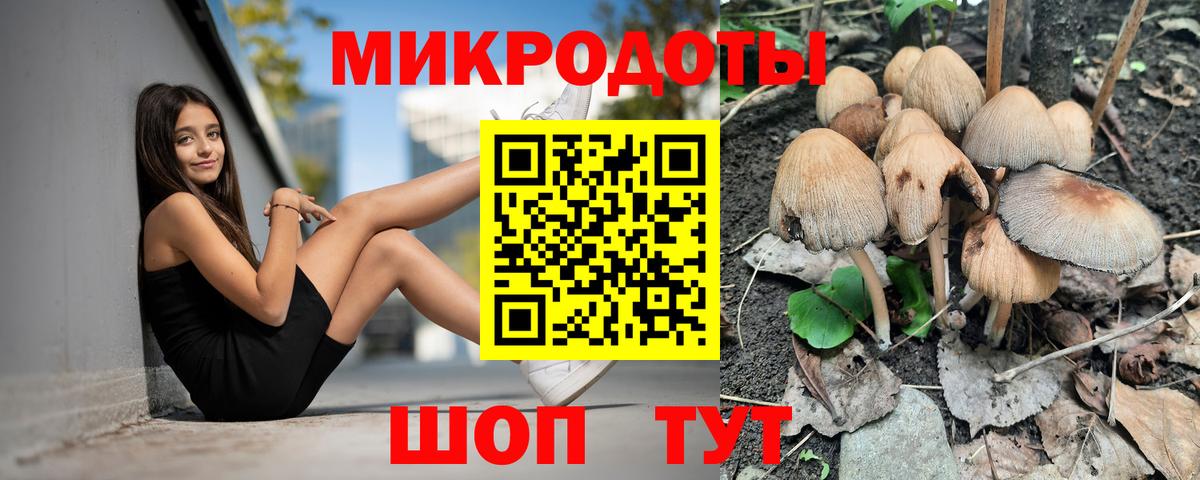 Псилоцибиновые грибы Cubensis  Псилоцибиновые грибы Psilocybe  где купить наркоту  Вход с VPN  Кольчугино 